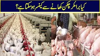 Brioler Chicken Causing Cancer In Pakistan?