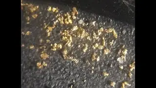 Catching super fine gold with the dream mat
