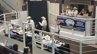 Western Ag Network Cowboy State Daily Report for August 24, 2022