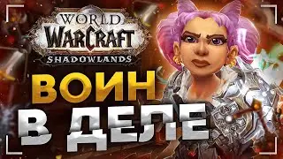 ФУРИ ВАР - БУРСТ МАШИНА! Shadowlands! WoW 9.0.5! ● РЭЙВИС