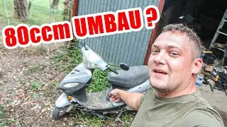 China Rex Roller auf 80ccm UMBAU ? / Grubenhaus 2.0 Planung
