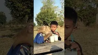 Best Video Animals And Funny Around The World #shorts