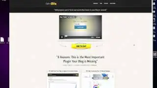 How To Insert An Opt-In Form Beneath Your Blog Posts
