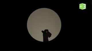 تعرف من الظلال على نوع الحيوان