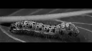 Permutate | Experimental Short Film