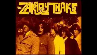 Zakary Thaks - She's Got You.