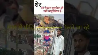 #vlogs #jaibhim #merathnews #viralshort #desivlogs #lucknow #ambedkarvadi #vlogers #bestvlog #minivl
