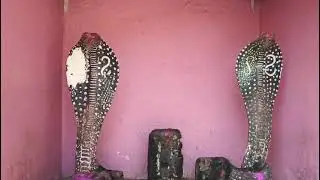 दुमका/ काठीकुंड दानीनाथ मंदिर शिव, पार्वती  दर्शन.