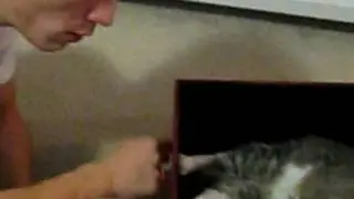 Tyler and the Beast