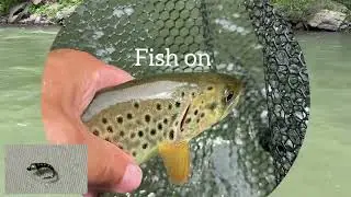Fly fishing Spruce Creek and Little Juniata River PA
