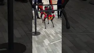 大阪・関西万博消防ロボット「Spot」展示Firefighting Robot &ldquo;Spot&rdquo; Display