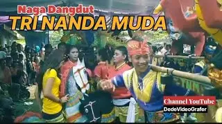 TRINANDA MUDA BANDAR JUDI 2019