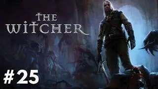 Lets's play The Witcher Enhanced Edition #25