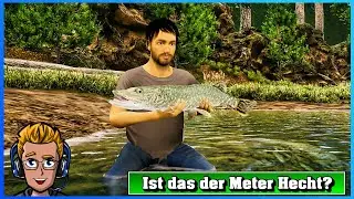 Ist das der Meter Hecht? | Ultimate Fishing Simulator 2 #2 | Angelsimulation
