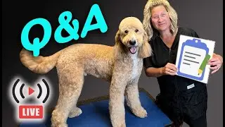 Your DOG GROOMING QUESTIONS Answered LIVE (Part2)
