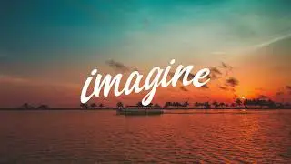 Quixotic - Palms