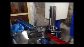 Fully Automatic Wad Inserting Machine Single Head
