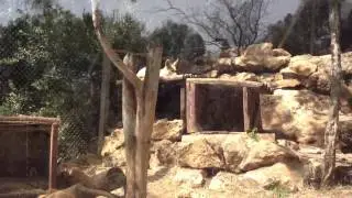 Haifa Educational Zoo