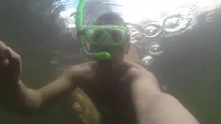 Underwater world at Viitna Pikk Lake with some fish