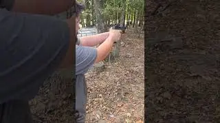 9mm. Going down range!!#airsoft #akarms #shortsviral