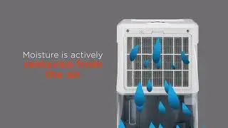Dimplex Everdri dehumidifiers