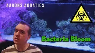 Bacteria Bloom!