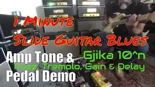 Electric Slide Guitar Blues - Guitar Amp Tone Demo Clean & Dirty - Fuzz, Gain, Tremolo, Delay Pedals