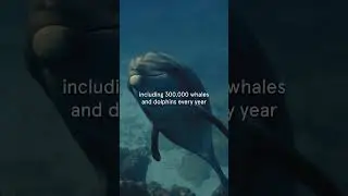 WORLD OCEAN'S DAY: PLASTIC WASTE