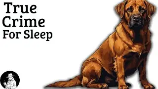 The Dog That Helped Solve a 40-Year-Old Case - True Crime Sleep Story