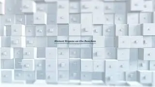 Distant Organs on the Beaches - SIKMA