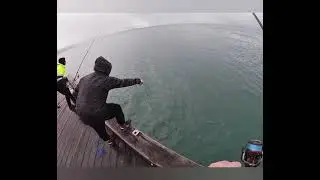 GOAST Fishing - Lorne Lone Salmon