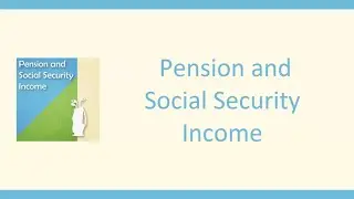 Pension & Social Security Income Reporting