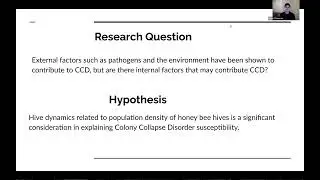Colony Collapse Disorder and Honeybees