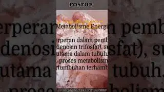 Pentingnya FOSFOR sebagai mineral makro dalam pembuatan pakan ternak