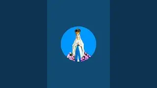 Moni jessica is live!