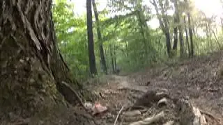 Scenic River Trail MTB