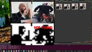 Detection of Similar Images with Perceptual Hashing | Python OpenCV