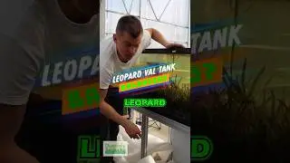 Leopard Val Tank Update - Balanced?