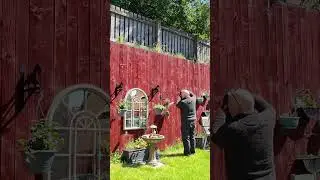 Watering the plants Project Short #coatbridge  #caninetraining  #watering plants