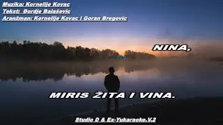 Zdravko Čolić - Kažeš da ti nekad izgledam k'o Dunav (1981.)