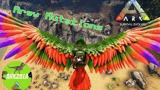 Beautiful Argentavious Mutations | Ark Suvival evolved