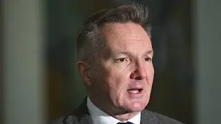 'Major mistake' for Labor to legislate a net zero target