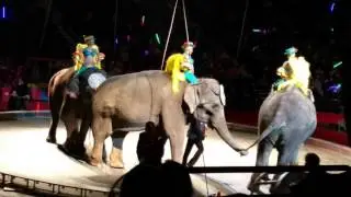 Shrine Circus: Elephants Show at Target Center, MN 11/28/2015