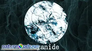 【Nature Stabilizer】cyanide【TOXIC RAVE】
