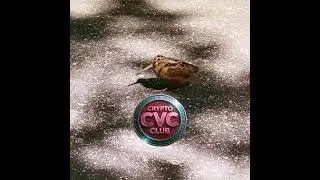 Project: Crypto VIP Club Token: $CVC #tokencvc #cvctoken #cvc #crypto #vip #vipclub #cryptovipclub