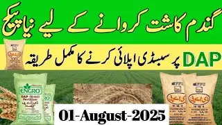 wheat support package RS 3000 DAP subsidy wheat | support package | kisan package | 30-07-2025
