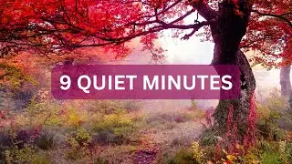 9 Minute Relaxing Landscape Timer | Quiet Moments & Gentle Visuals