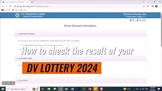 How to check DV Lottery result 2024