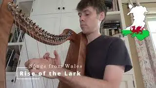 Rise of the Lark | Welsh Song | Celtic Folk Harp