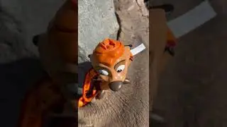 Timon Sipper @ Animal Kingdom #shorts